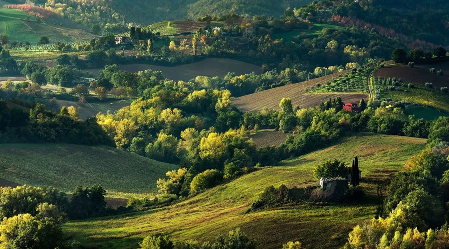 640.webp (5).jpg 640.webp (5).jpg